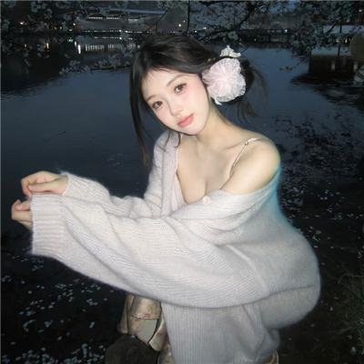 没人瞭波斯猫